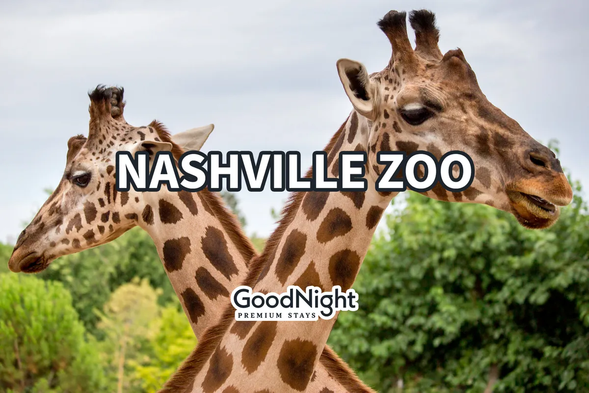 This image features giraffes surrounded by lush greenery at the Nashville Zoo. The mood is joyful, evoking the delight of families and children experiencing close encounters with wildlife in a vibrant, welcoming setting.
